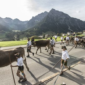 Veranstaltungen im Oberallgäu: Viehscheid im Kleinwalsertal  - Viehscheid 2024 im Kleinwalsertal *