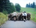 Veranstaltungen im Oberallgäu: Oberstaufner Viehscheid - Allgäuer Brauchtum - Viehscheid 2024 in Oberstaufen