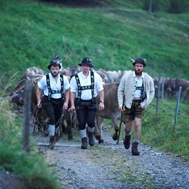 Veranstaltungen im Oberallgäu: Staufner Viehscheid - Viehscheid in Oberstaufen 2024 