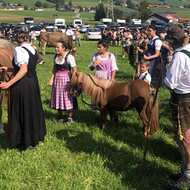 Veranstaltungen im Oberallgäu: Viehscheid in Kranzegg 2023 - Viehscheid in Kranzegg 2024