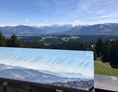 Veranstaltungen im Oberallgäu: Walter Riedle Hauchenberglauf 2022