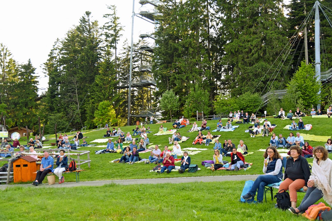 Veranstaltungen im Oberallgäu: Wiesen-Open-Air mit Notenlos im SkyWalk Allgäu