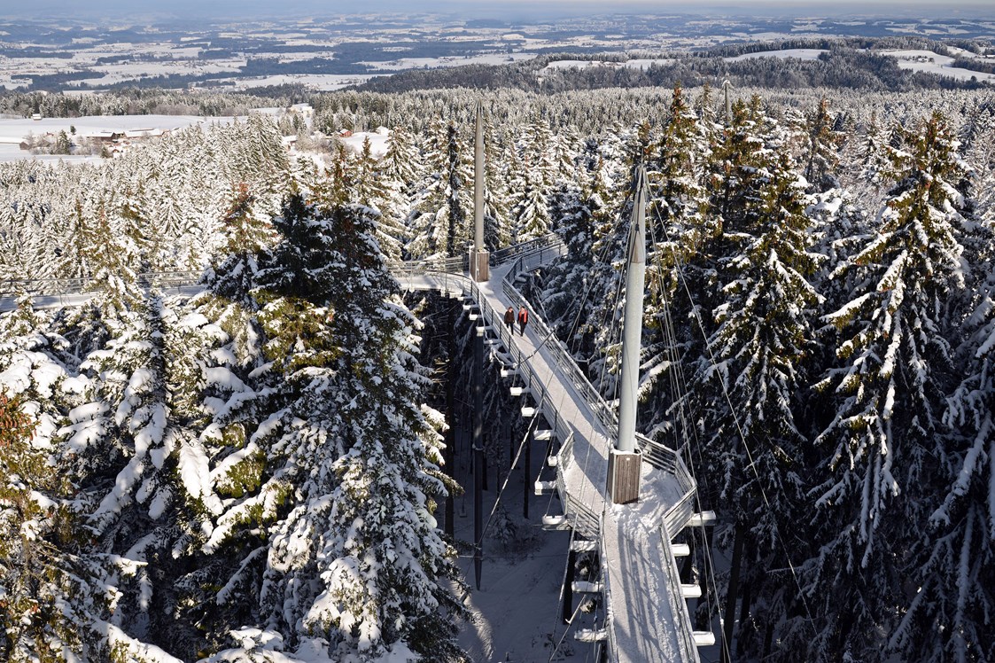 Veranstaltungen im Oberallgäu: Winterzauber im Skywalk Allgäu
