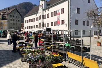 Veranstaltungen im Oberallgäu: Wochenmarkt in Immenstadt auf dem Marienplatz - Wochenmarkt in Immenstadt