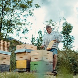 Erlebnisse im Oberallgäu: Der Bienenkorb - Schauimkerei mit Bienenerlebnispfad - Der Bienenkorb - Schauimkerei, Bienenerlebnispfad mit Führungen