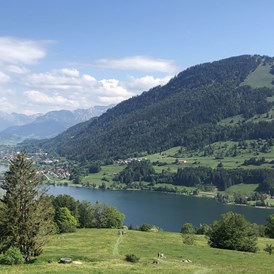 Erlebnisse im Oberallgäu: Freizeitspaß am Alpsee bei Immenstadt