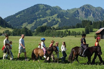 Erlebnisse im Oberallgäu: Reiten im Unterjoch