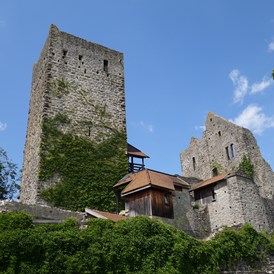 Erlebnisse im Oberallgäu: Burgruine Sulzberg