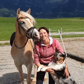 Erlebnisse im Oberallgäu: Pferde gestütztes Coaching im Allgäu