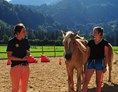 Erlebnisse im Oberallgäu: Pferde gestütztes Coaching im Allgäu