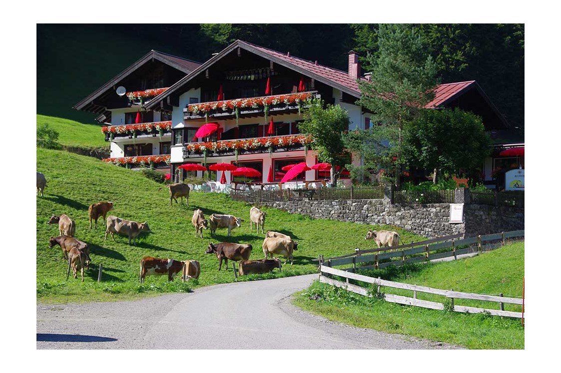 Unterkunft im Allgäu: Mitten in den Bergen- Natur pur!  - Alpengasthof-Hotel Schwand