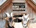 Unterkunft im Allgäu: Landhaus Burgschrofen